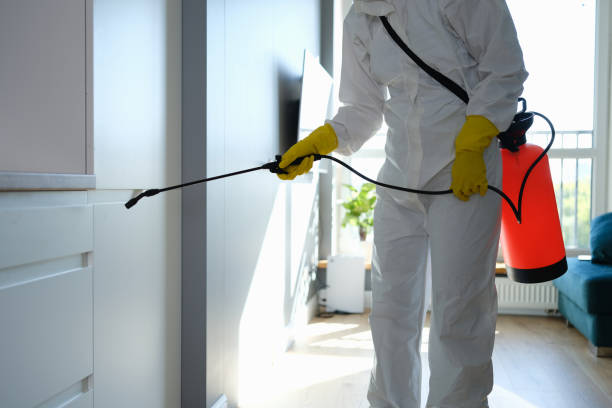Best Toxic Mold Removal  in Goldens Bridge, NY