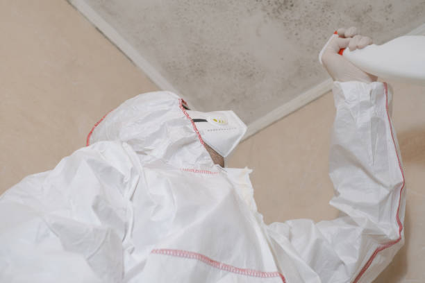 Best Residential Mold Removal  in Goldens Bridge, NY