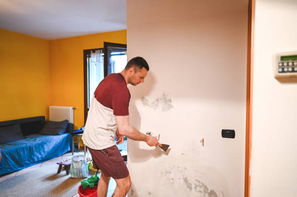 Best Certified Mold Removal  in Goldens Bridge, NY
